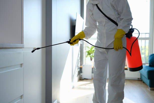 Best Residential Mold Removal  in Redwood Falls, MN