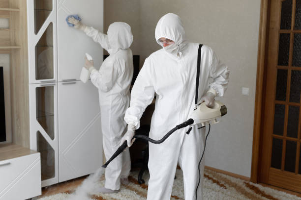 Mold Removal Process in Redwood Falls, MN
