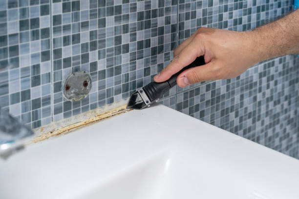 Best Local Mold Removal Service  in Redwood Falls, MN