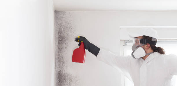 Best Mold Testing  in Redwood Falls, MN
