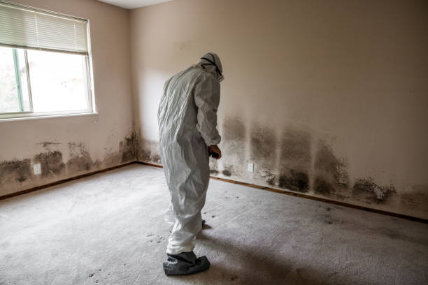 Best Mold Testing  in Redwood Falls, MN